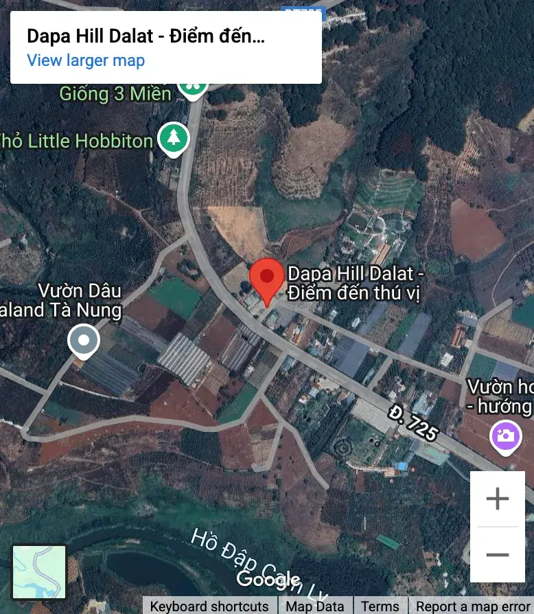 🌲 Dapa Hill Đà Lạt – Vackra minnen, men inte lika magiskt som förr